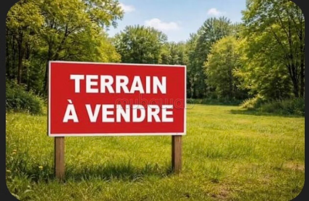 Achat de terrain à Ennakhil Palmeraie.
Surface de 500 m²