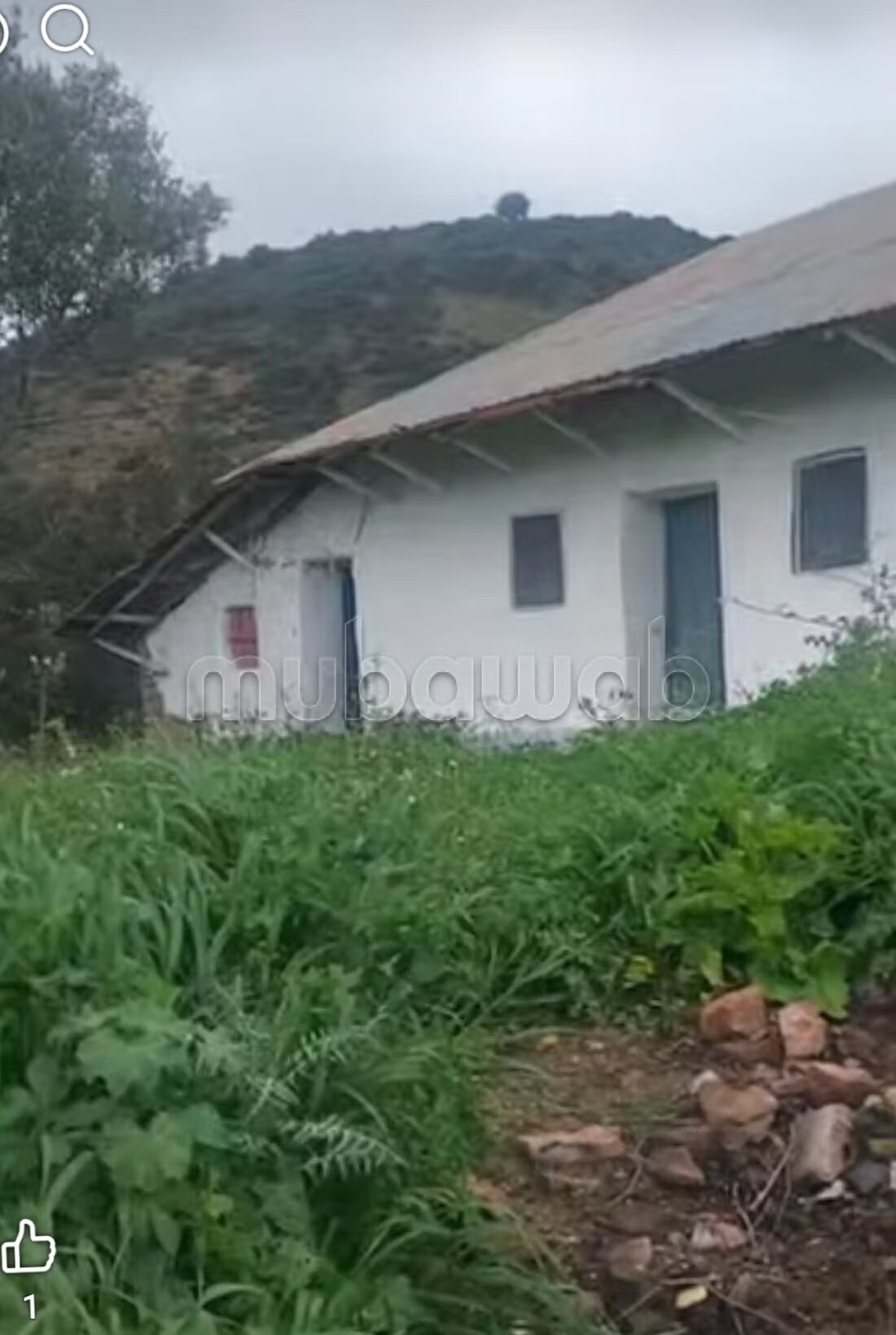 Ferme à vendre à Souk el Qdim. Superficie totale 2500 m²