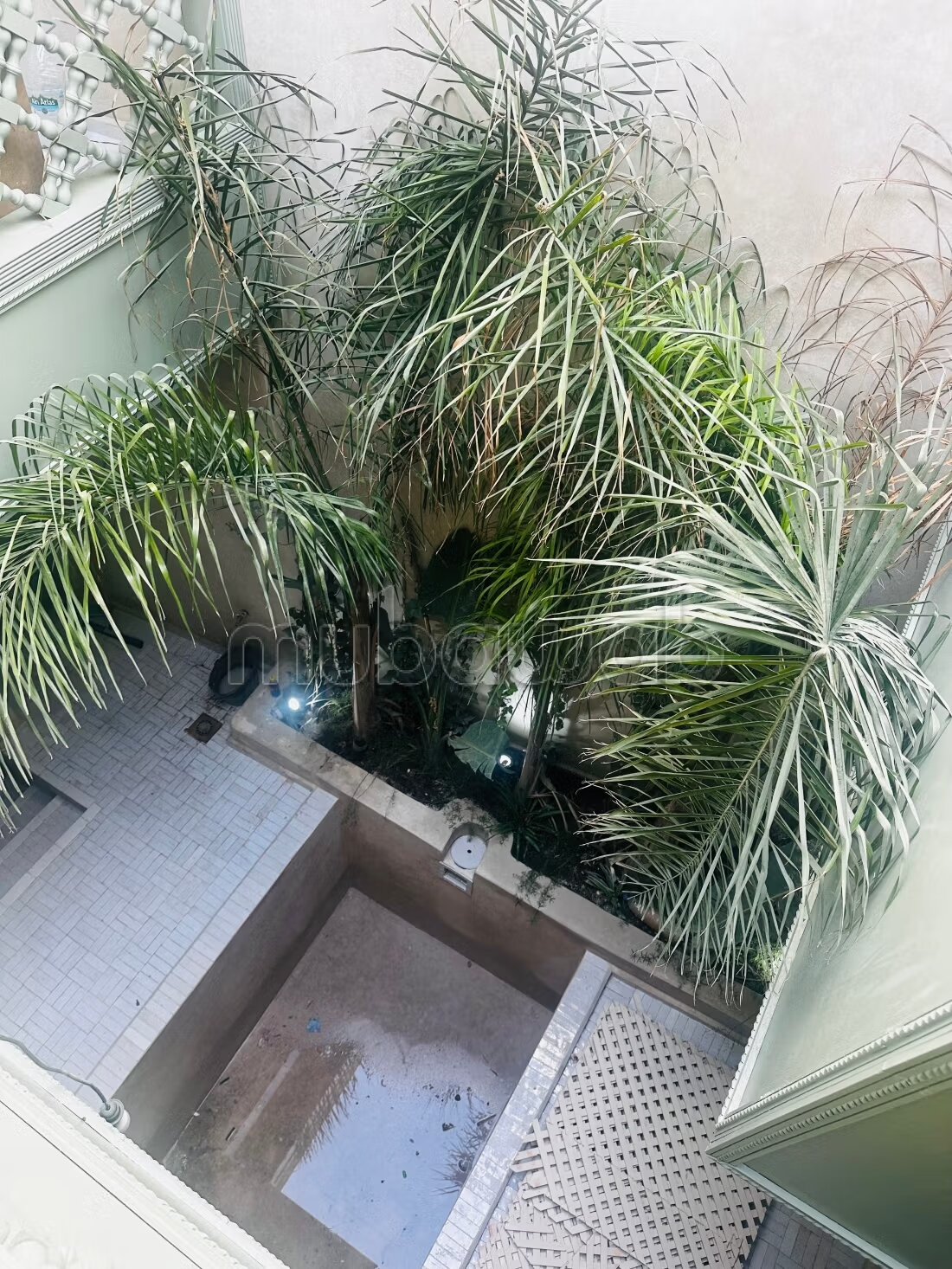 Riad Sidi mimoun