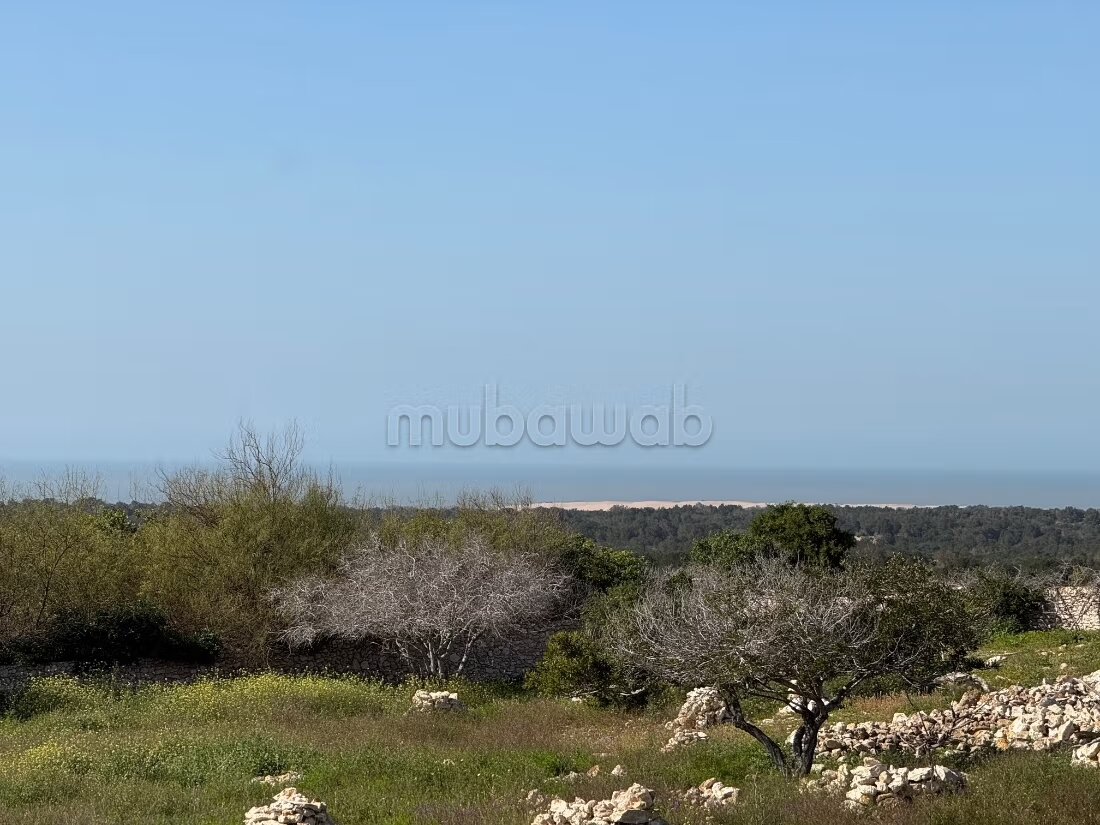 Villa vue mer à vendre à Essaouira — Photo 4