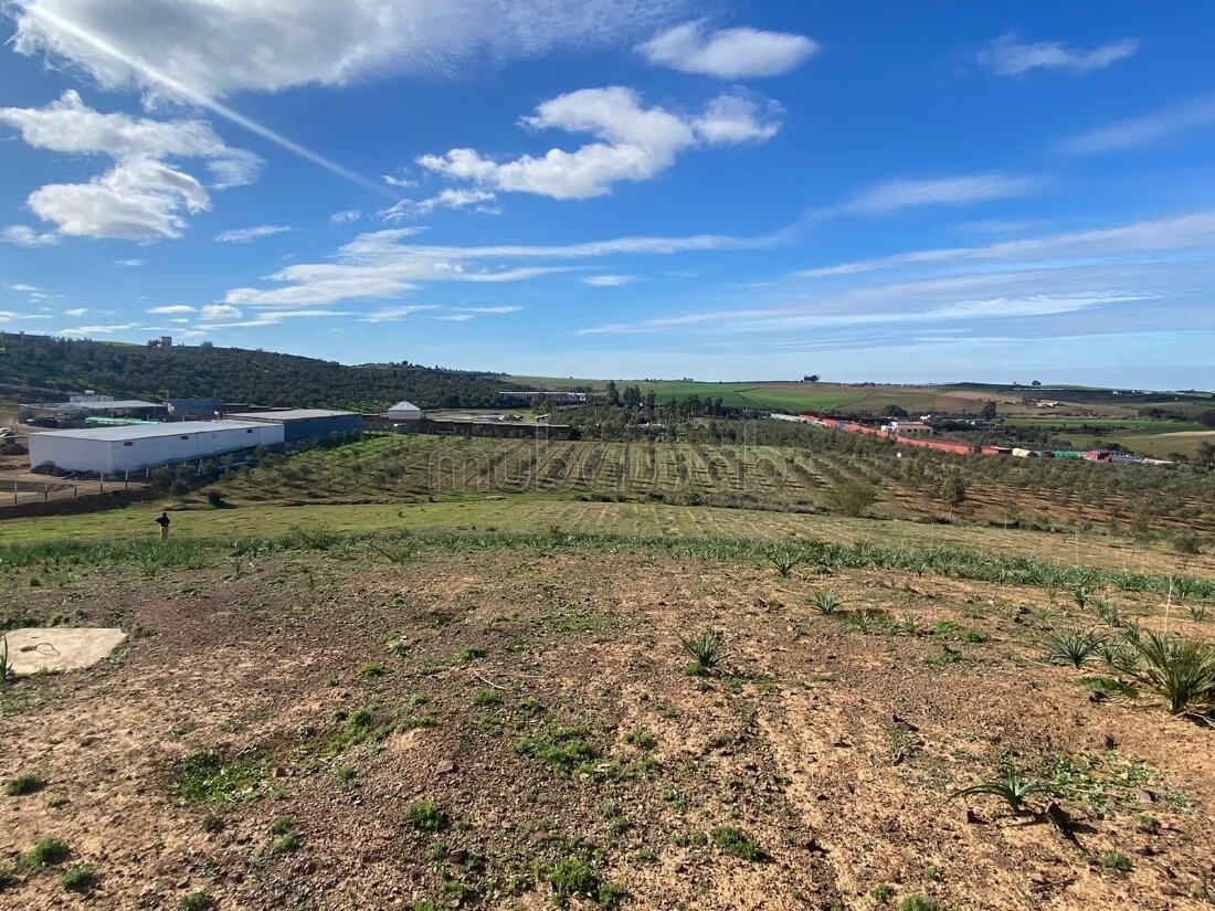 Terrain de 2.5ha à sidi yahya zaer