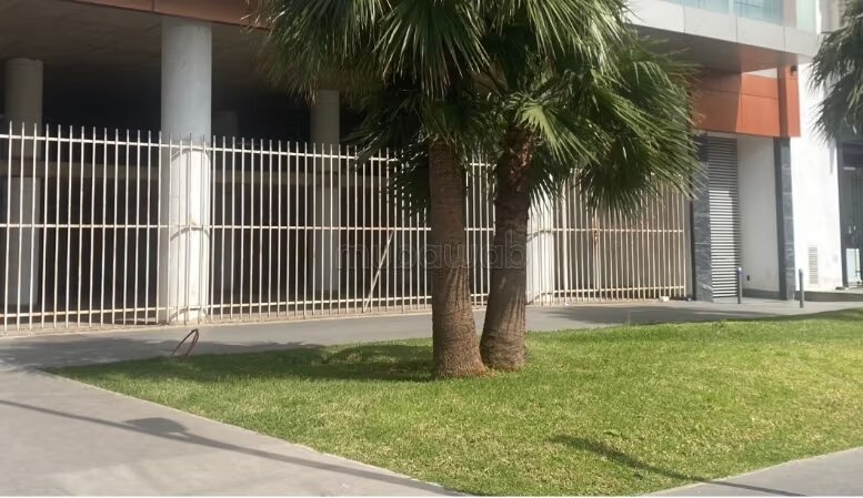 Commercial office for rent in Casablanca – Palmier — Photo 4