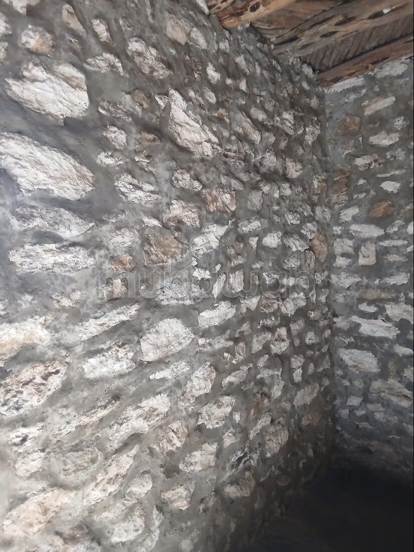 Maison neuve location longue dureé