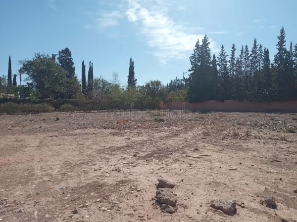 Land 10,000 m² for sale in Marrakech — Photo 4