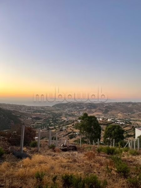 أرض مخصصة للبيع بسعر 440000 درهم — Photo 4