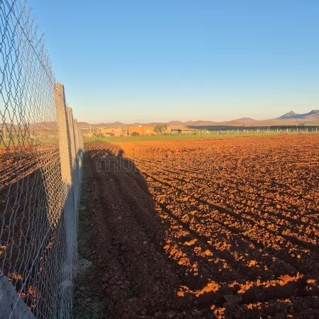Land 14 ha for sale in Marrakech — Photo 5
