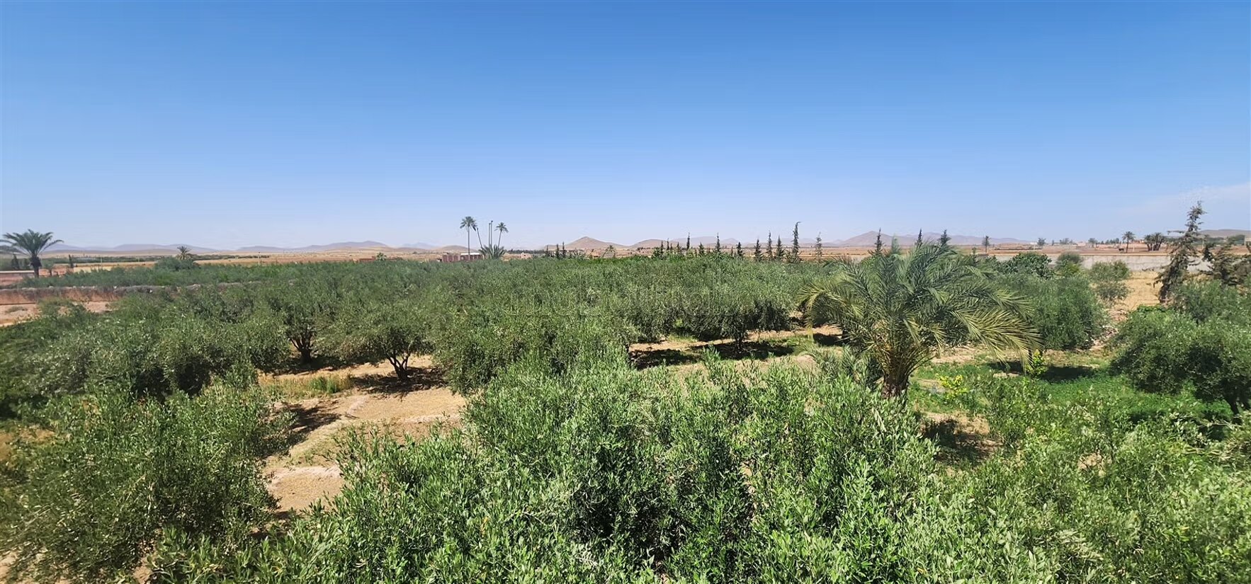 Hacienda Villa 300 m² for Sale in Marrakech (7 Bedrooms) — Photo 25