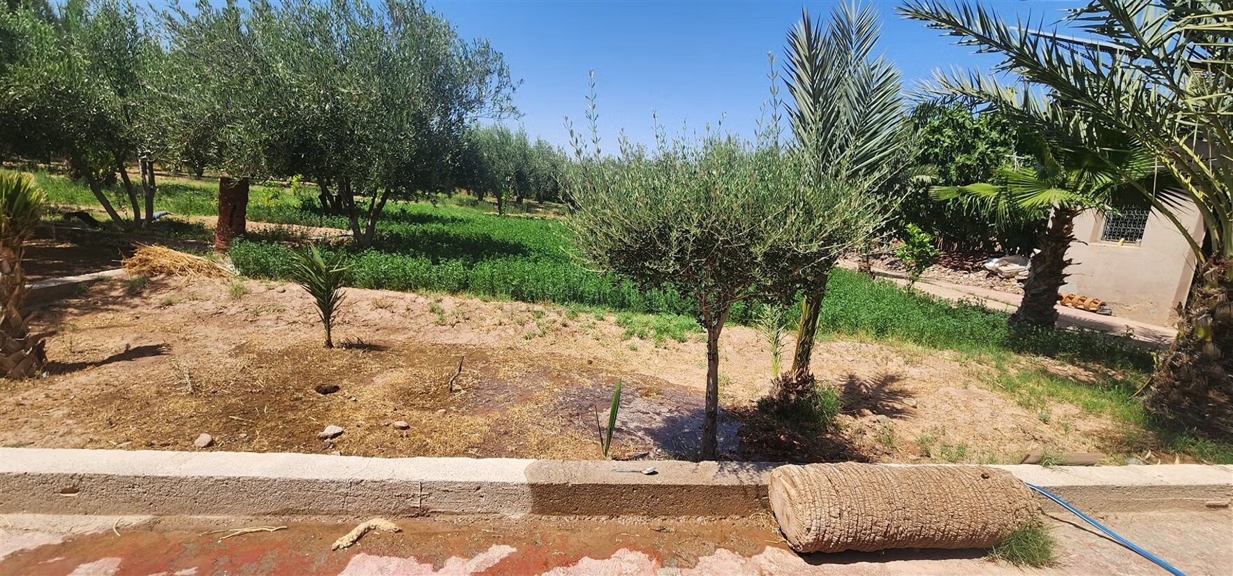 Hacienda Villa 300 m² for Sale in Marrakech (7 Bedrooms) — Photo 31