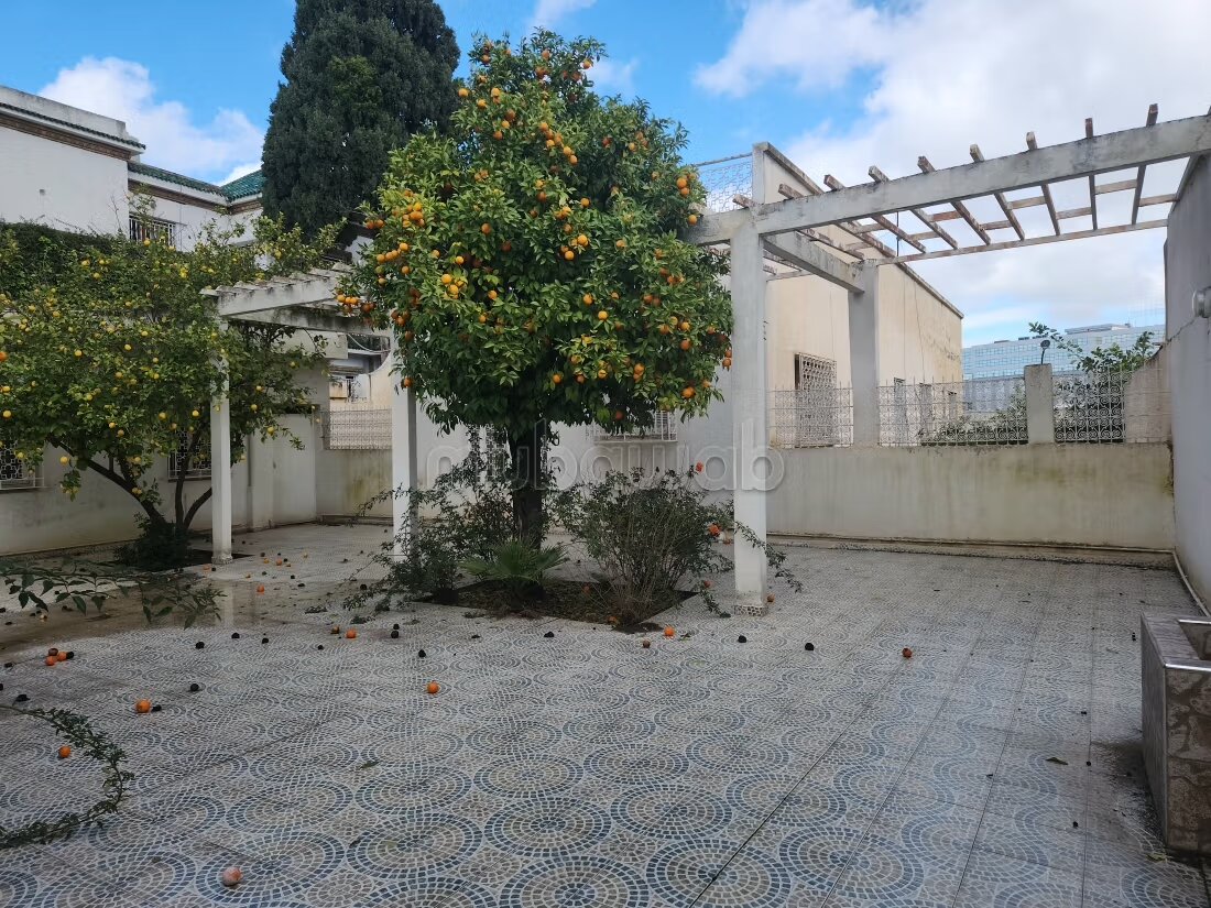 Villa 600 m² à vendre à Meknès — Photo 2