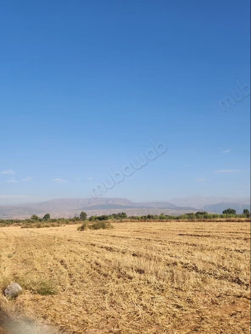 Terrain 1 ha à vendre à Marrakech – Sidi Abdella — Photo 4
