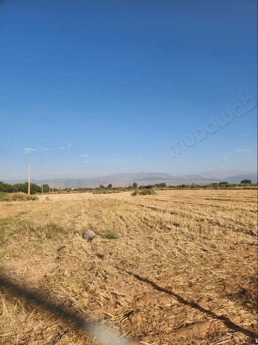 Terrain 1 ha à vendre à Marrakech – Sidi Abdella — Photo 6