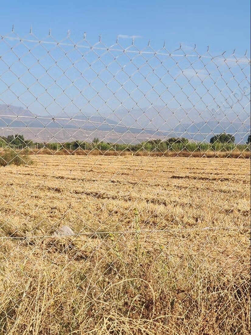 Terrain 1 ha à vendre à Marrakech – Sidi Abdella — Photo 7