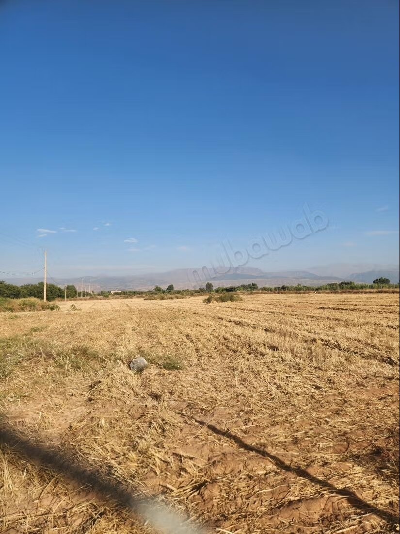 Terrain 1 ha à vendre à Marrakech – Sidi Abdella — Photo 9