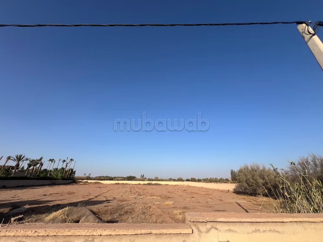 Terrain 1 ha à vendre à Marrakech – Sidi Abdella — Photo 13