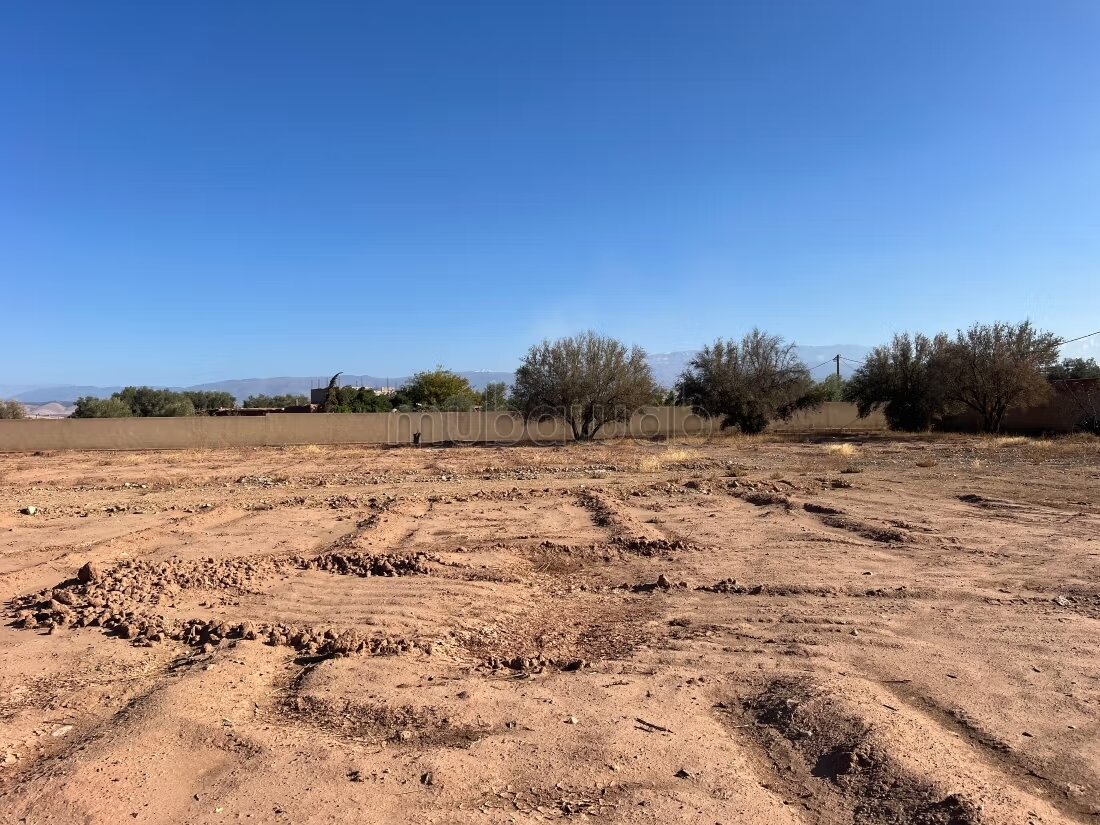 Terrain 1 ha à vendre à Marrakech – Sidi Abdella — Photo 19