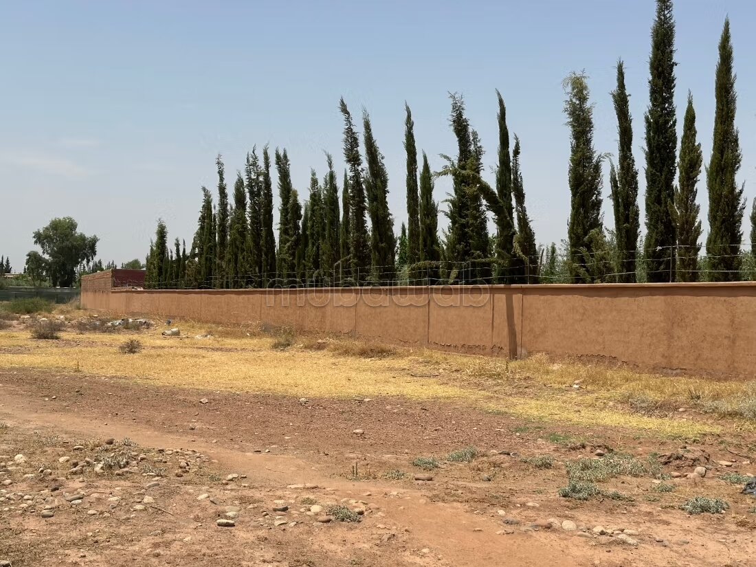 Terrain 1 ha à vendre à Marrakech – Sidi Abdella — Photo 25