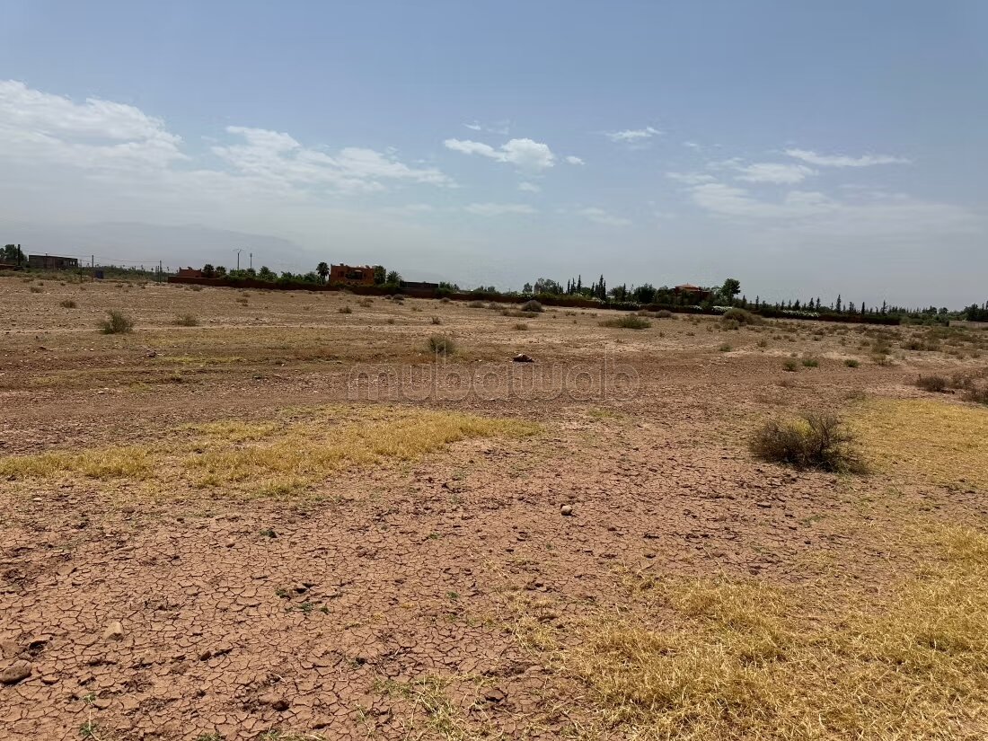Terrain 1 ha à vendre à Marrakech – Sidi Abdella — Photo 26