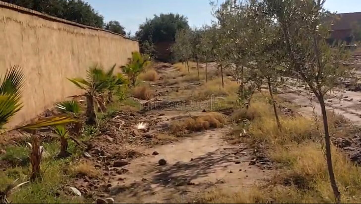 Terrain 1 ha à vendre à Marrakech – Sidi Abdella — Photo 48