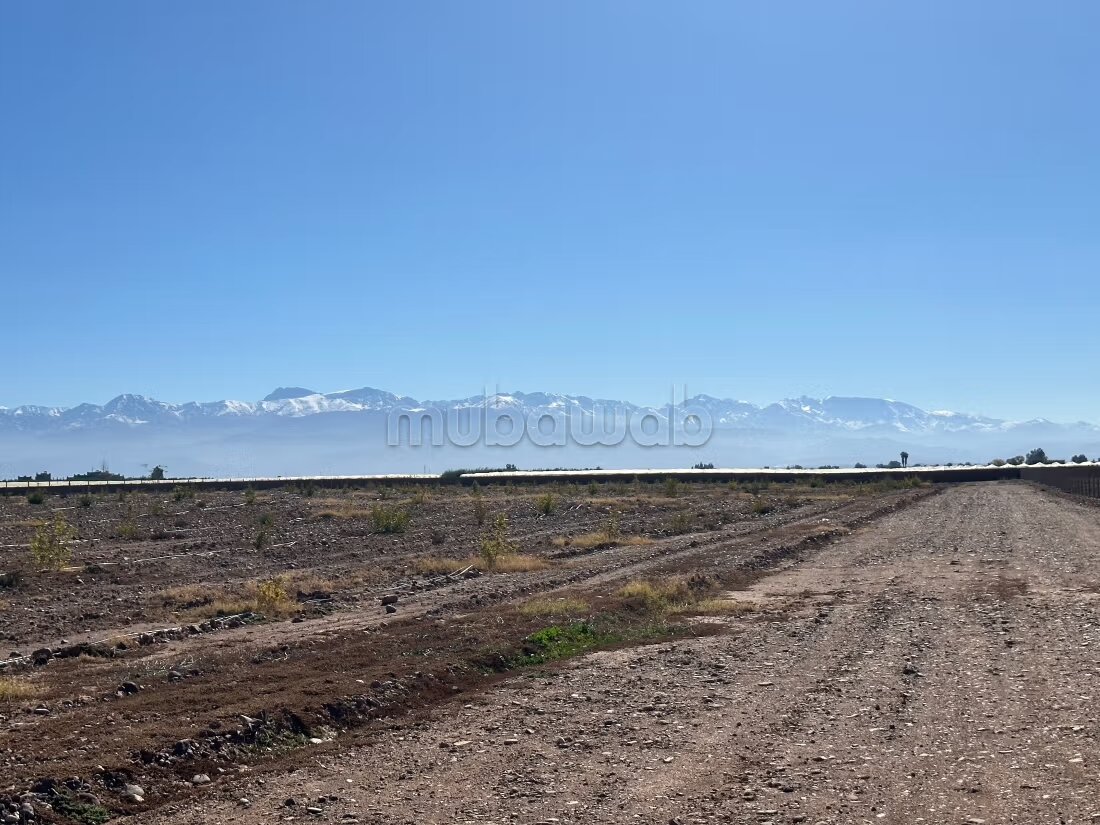 Terrain 1 ha à vendre à Marrakech – Sidi Abdella — Photo 54
