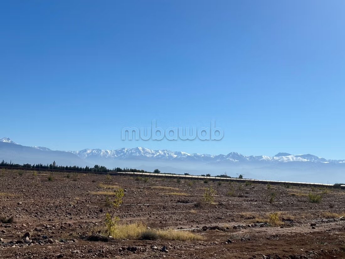 Terrain 1 ha à vendre à Marrakech – Sidi Abdella — Photo 55