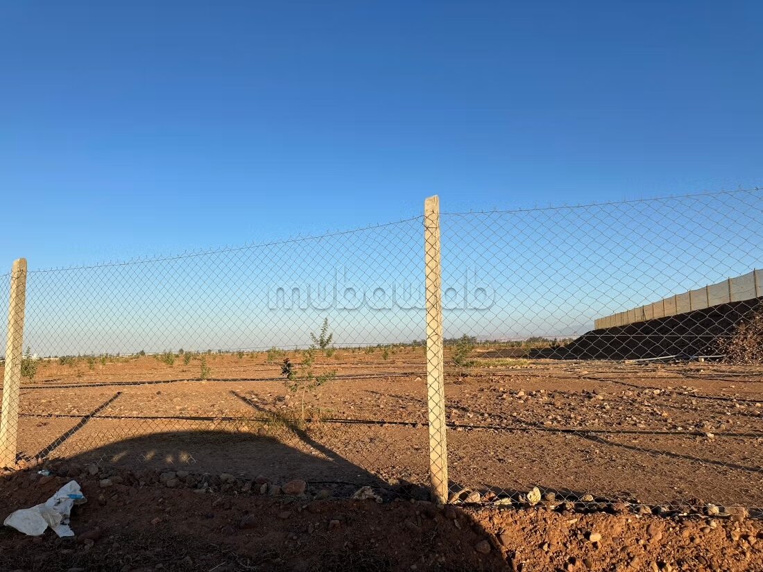 Terrain 1 ha à vendre à Marrakech – Sidi Abdella — Photo 60
