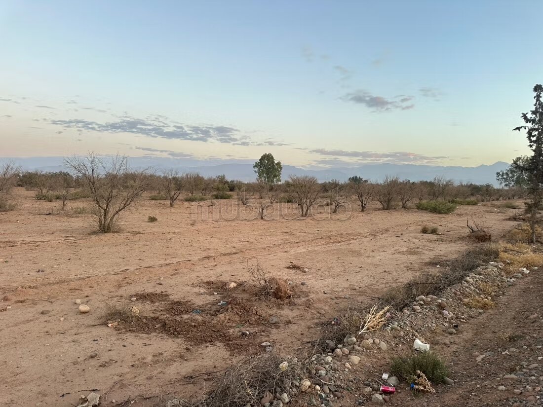 Terrain 1 ha à vendre à Marrakech – Sidi Abdella — Photo 100