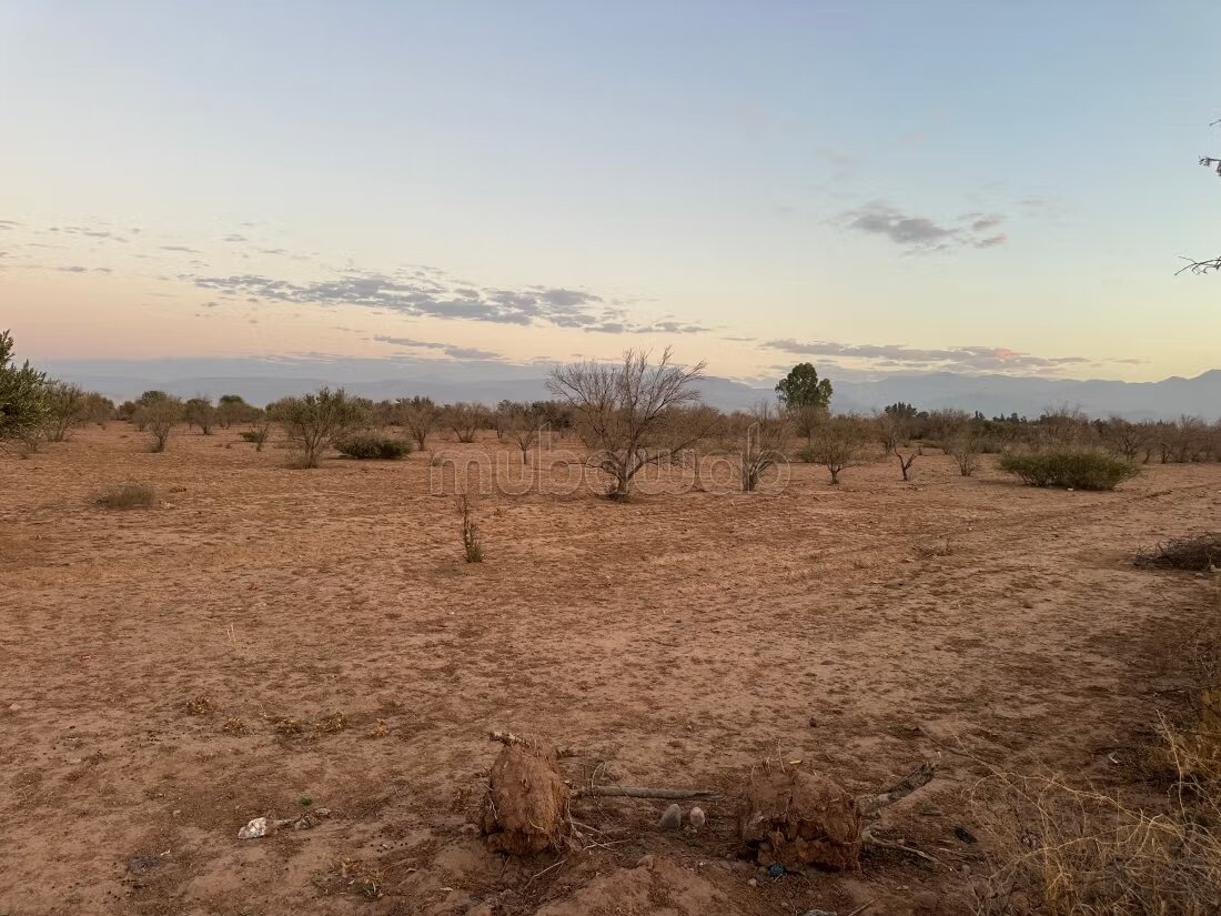 Terrain 1 ha à vendre à Marrakech – Sidi Abdella — Photo 101