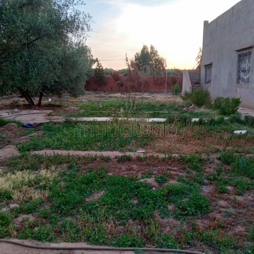 Terrain 1 ha à vendre à Marrakech – Sidi Abdella — Photo 104