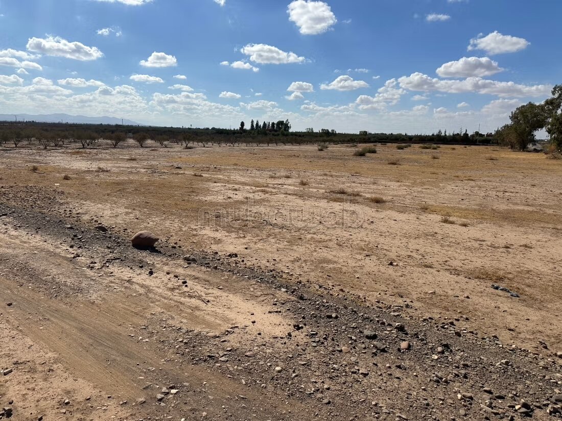 Terrain 1 ha à vendre à Marrakech – Sidi Abdella — Photo 109