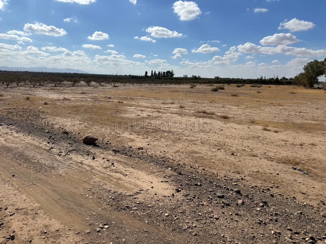 Terrain 1 ha à vendre à Marrakech – Sidi Abdella — Photo 110