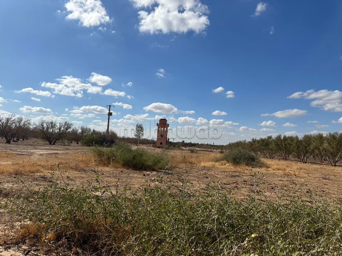 Terrain 1 ha à vendre à Marrakech – Sidi Abdella — Photo 116