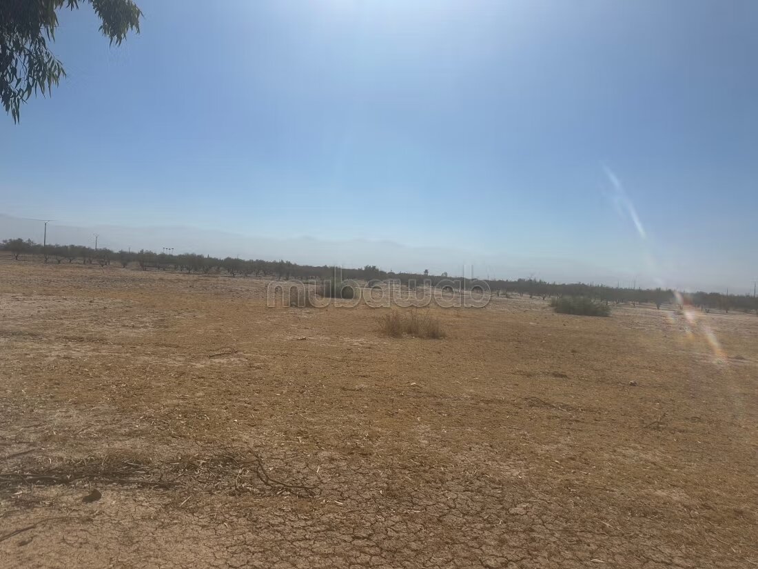 Terrain 1 ha à vendre à Marrakech – Sidi Abdella — Photo 119
