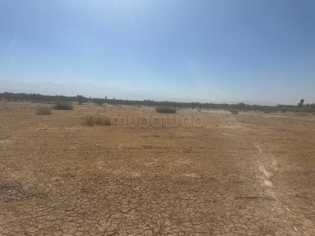 Terrain 1 ha à vendre à Marrakech – Sidi Abdella — Photo 120