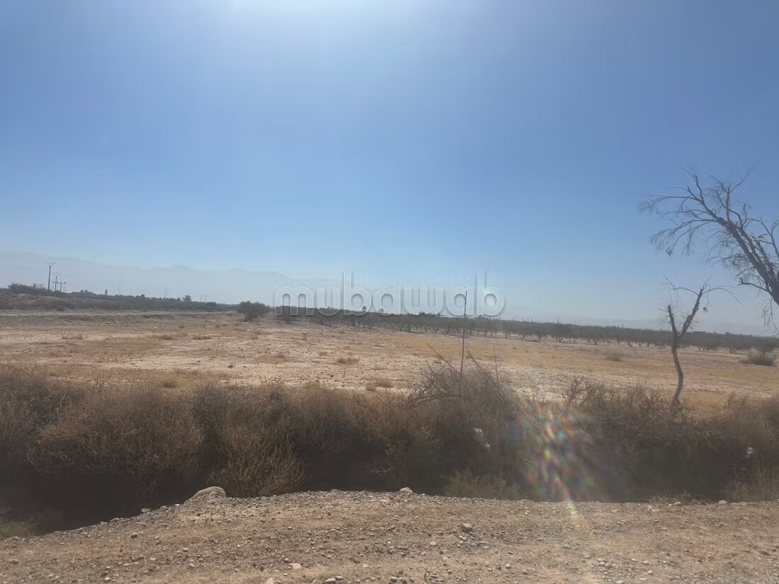Terrain 1 ha à vendre à Marrakech – Sidi Abdella — Photo 121