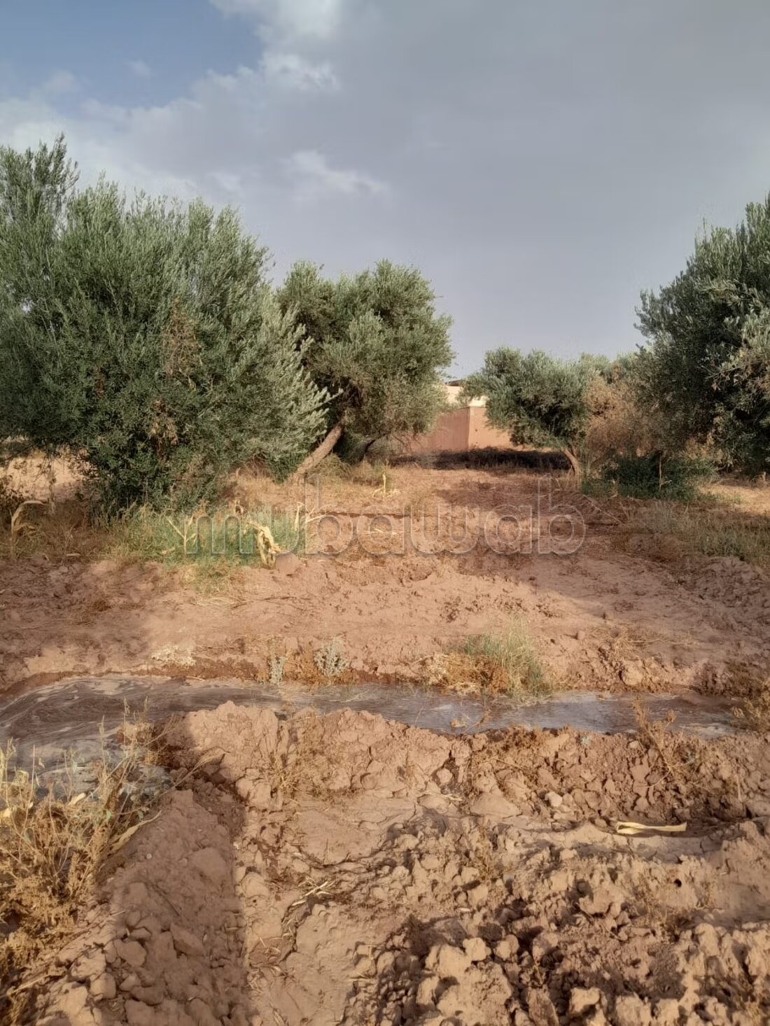 Terrain 1 ha à vendre à Marrakech – Sidi Abdella — Photo 133