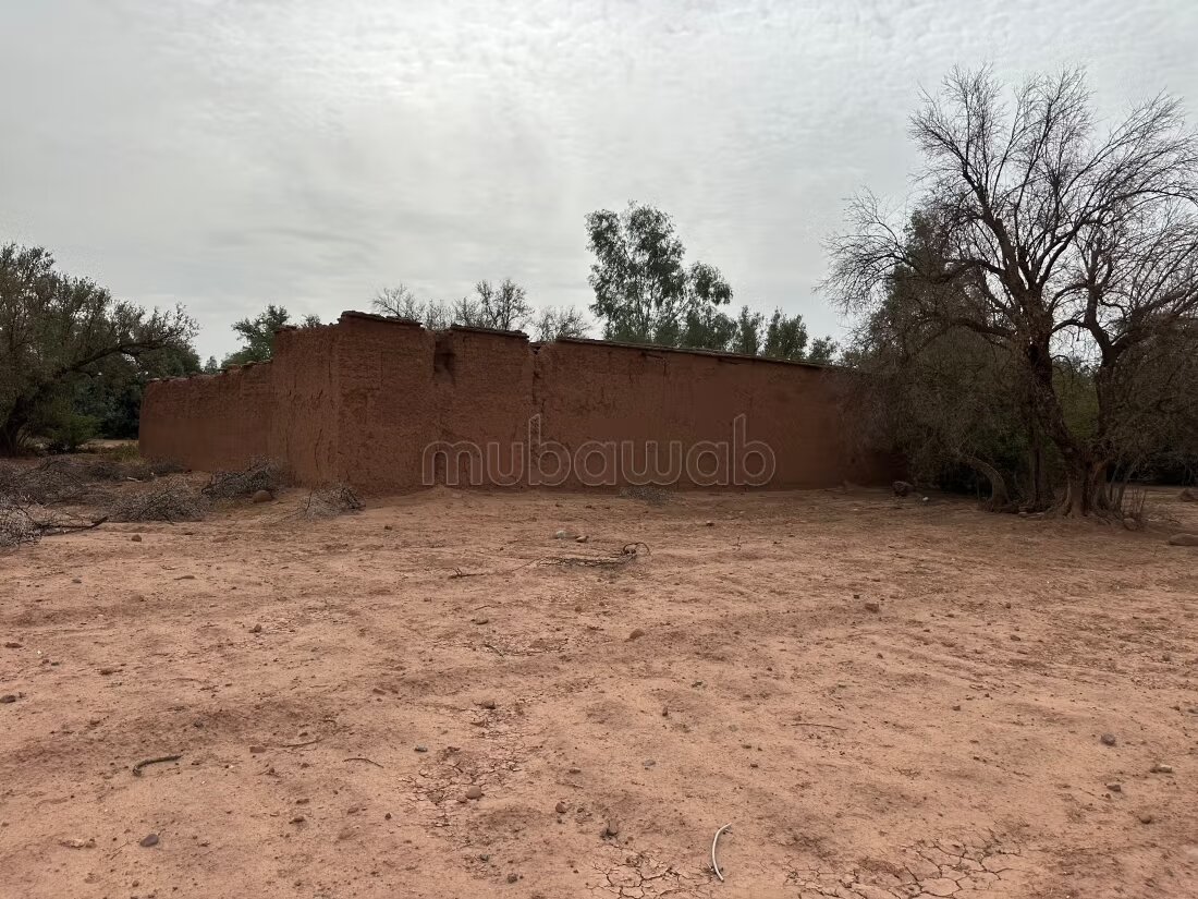 Terrain 1 ha à vendre à Marrakech – Sidi Abdella — Photo 135