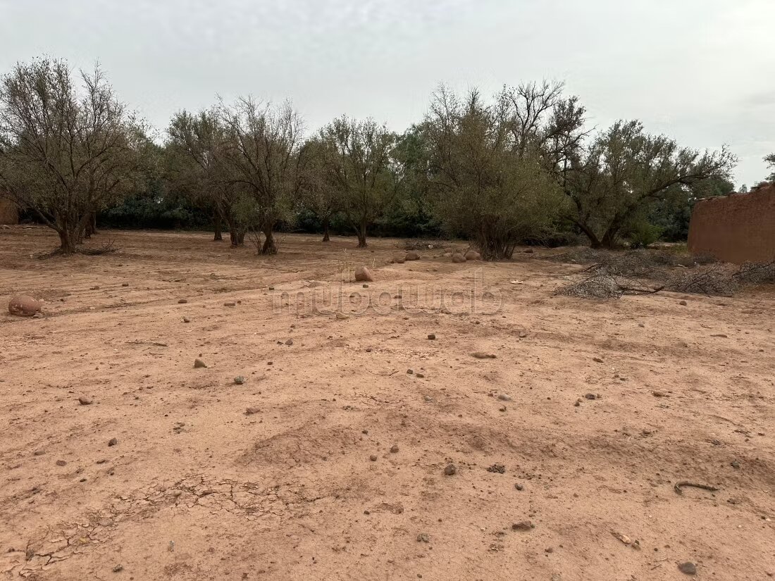 Terrain 1 ha à vendre à Marrakech – Sidi Abdella — Photo 136