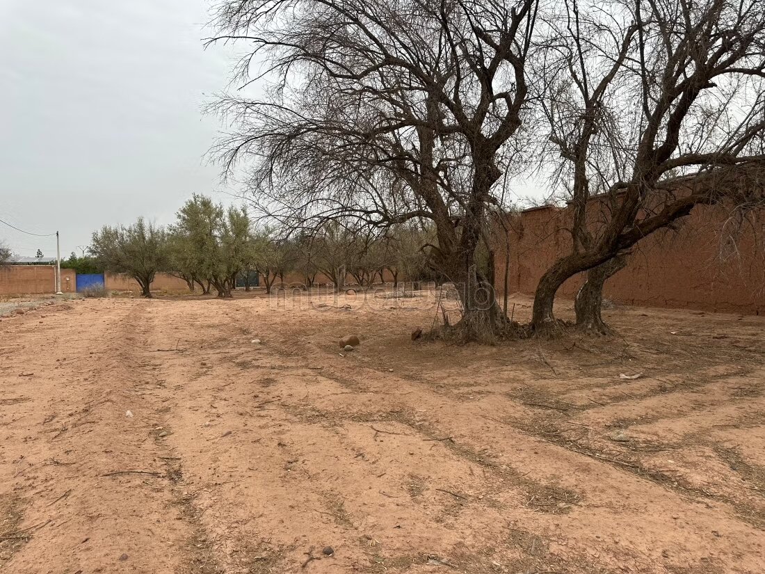 Terrain 1 ha à vendre à Marrakech – Sidi Abdella — Photo 137