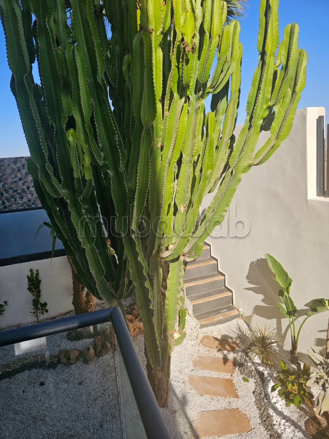 Villa 400 m² for sale in Casablanca – TGCC Project — Photo 10