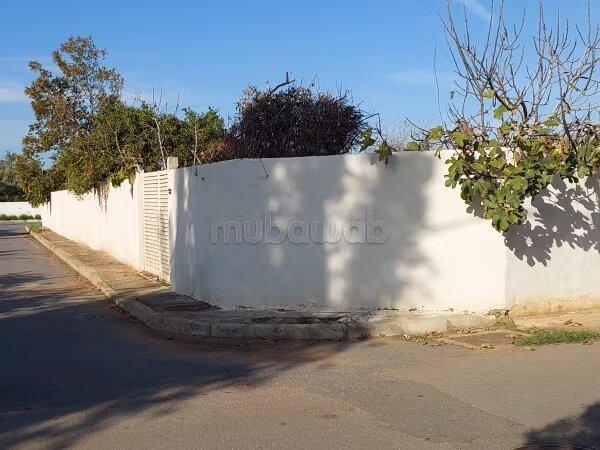 2-hectare Plot for Sale in Rabat (Souissi) — Photo 4