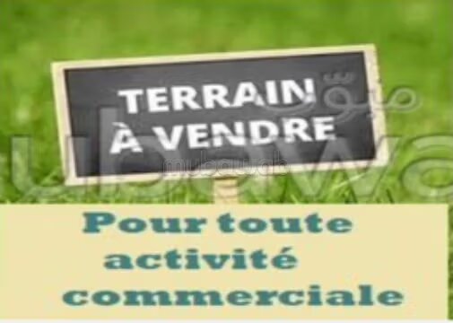 2-hectare Plot for Sale in Rabat (Souissi) — Photo 5