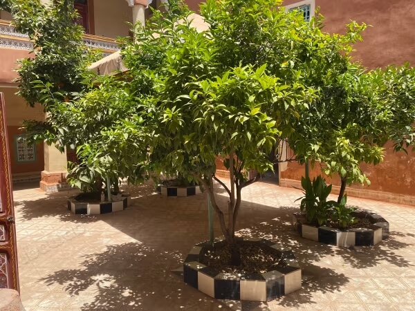 Riad 78 m² à vendre à Marrakech – Kasbah — Photo 11