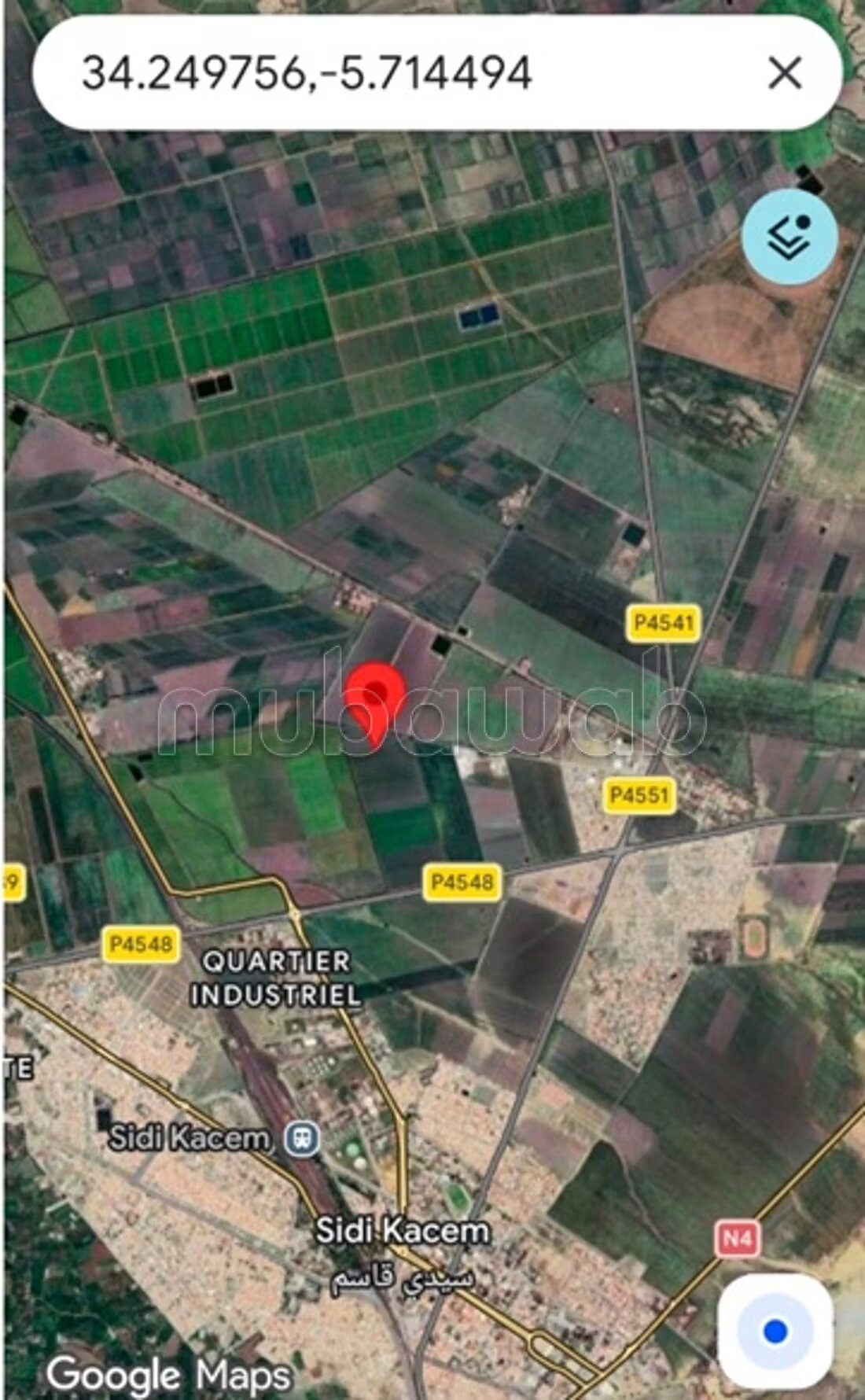 Terrain 7 hectares à vendre à Sidi Kacem à Sidi Kacem