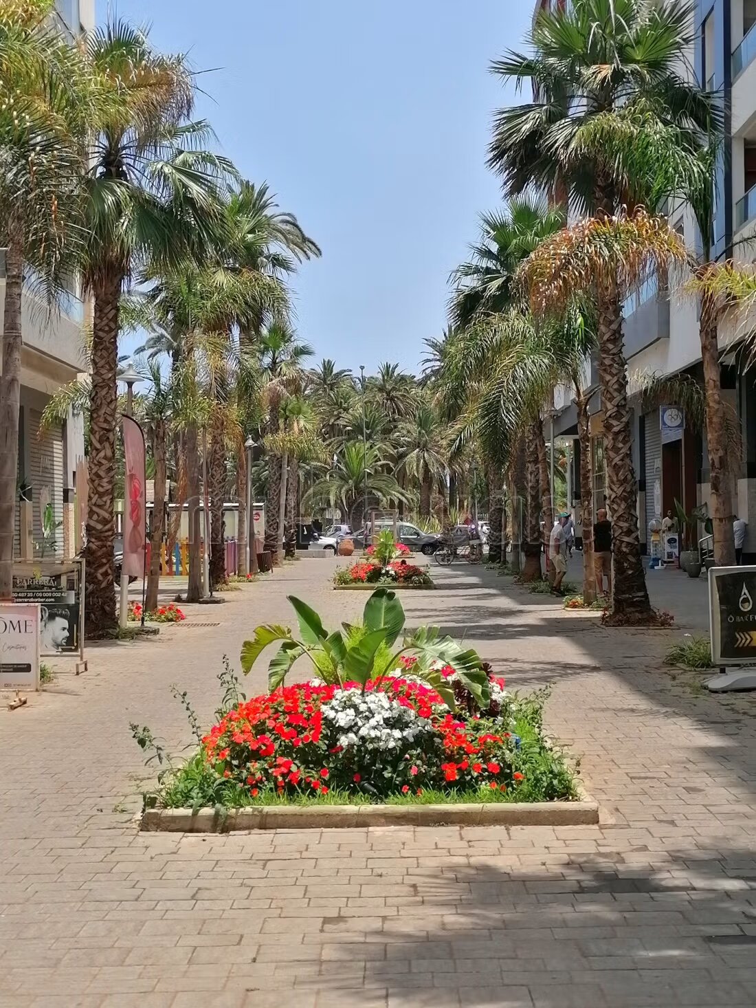 Appartement à vendre entre parc et océan à Mohammédia à Mohammédia