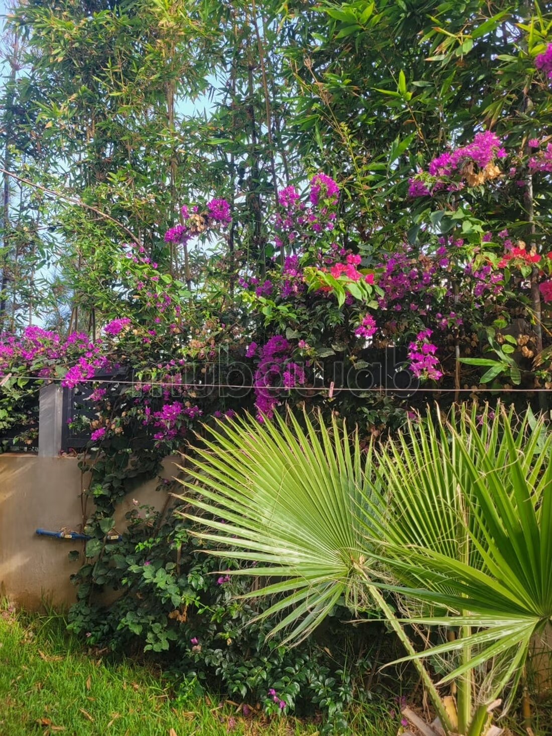 Villa 170 m² à vendre à Bouznika — Photo 43