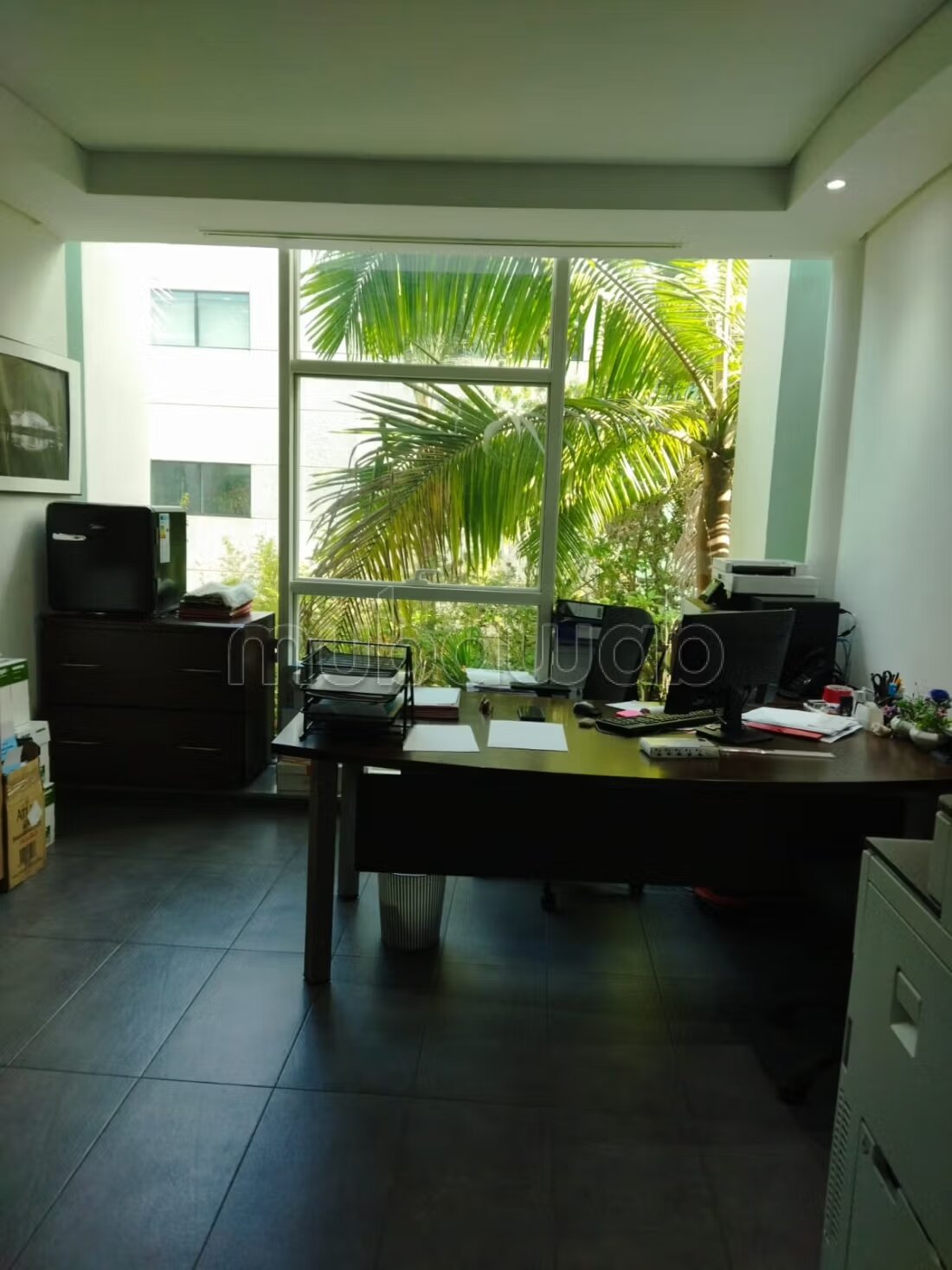 Office 300 m² for rent in Rabat — Photo 16