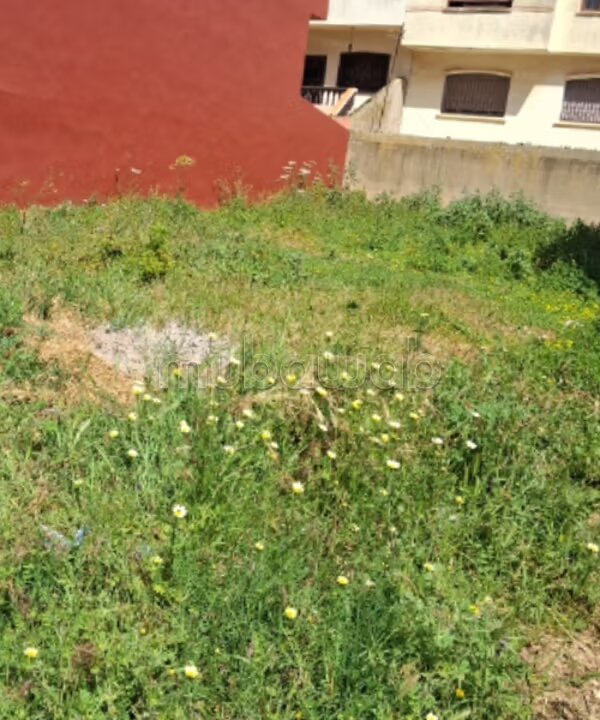 Terrain 654 m² à vendre à الجديدة — Photo 3