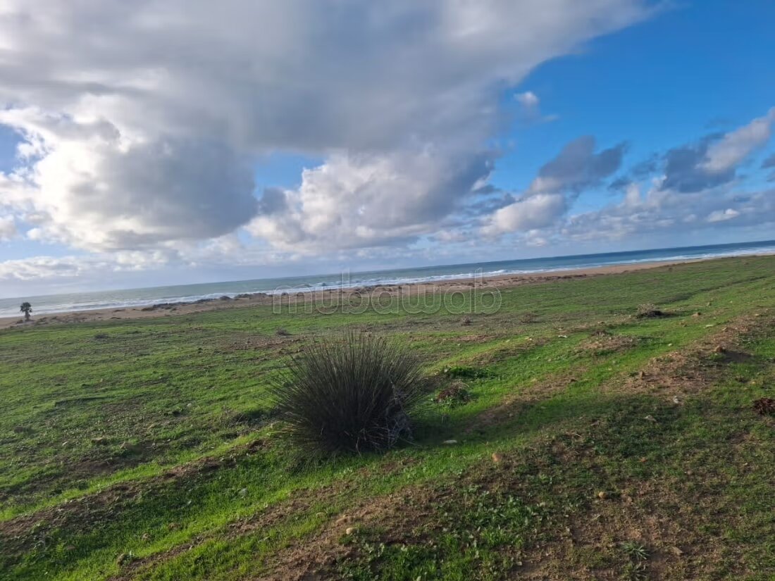 Terrain 8,5 hectares à vendre à Asilah à Asilah