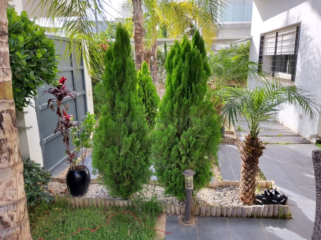 Villa 700 sqm for rent in Rabat – Souissi — Photo 13