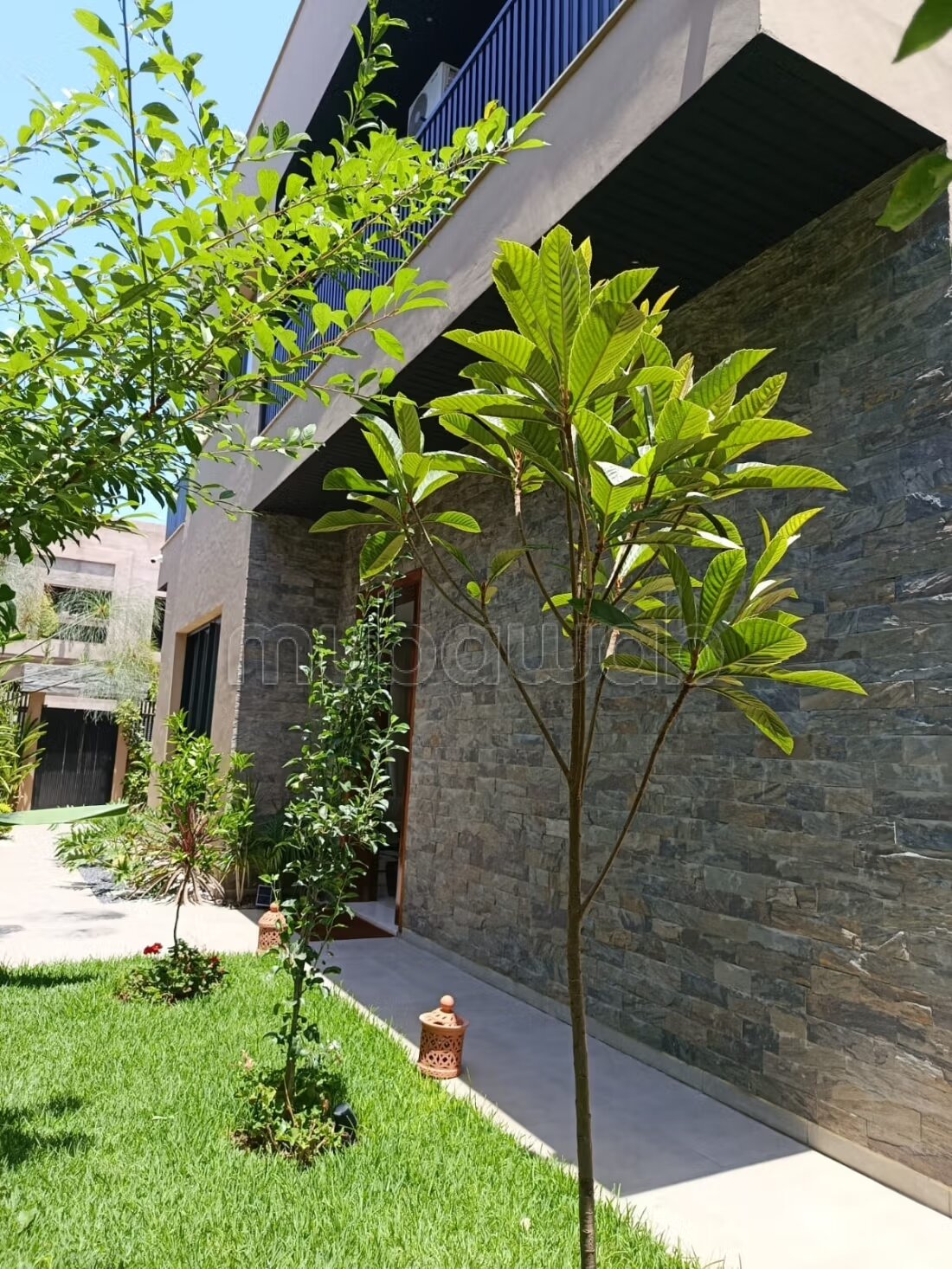 3‑Bedroom Villa for Rent in Casablanca – Oasis de Bouskoura — Photo 17